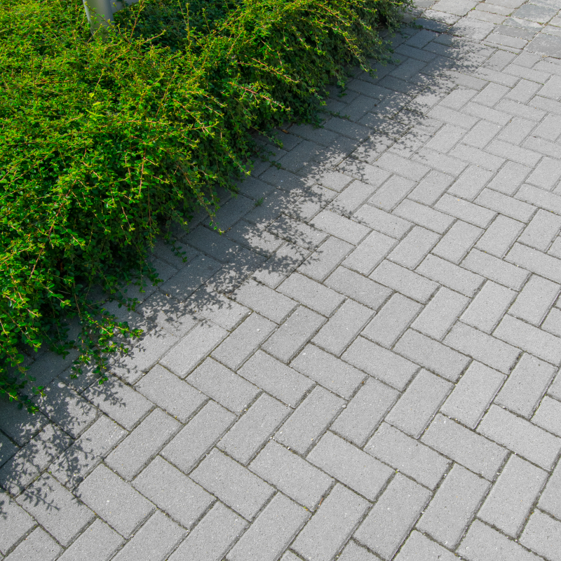 Gerecse - Gerecse szürke