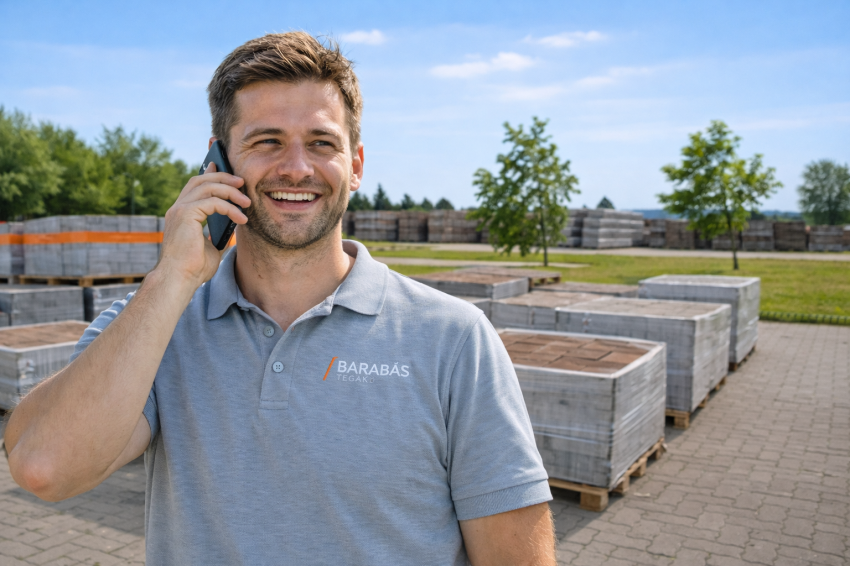 Területi képviselő